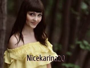 Nicekarina20