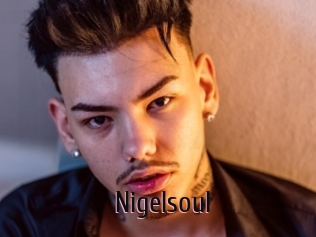 Nigelsoul