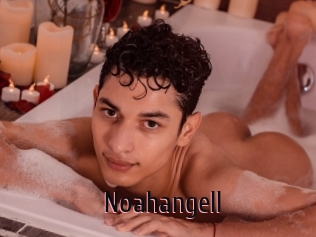 noahangell 1 film x