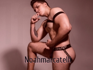 noahmarcatelli 1 film x