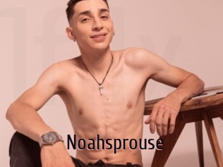 Noahsprouse