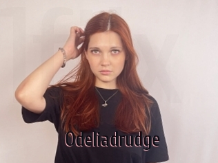 Odeliadrudge