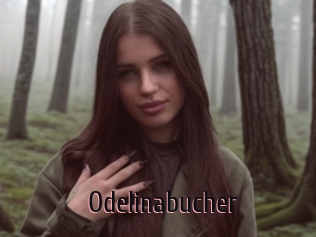 Odelinabucher