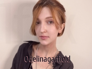 Odelinagarfield