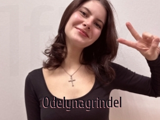 Odelynagrindel