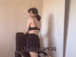 Odettacaecus