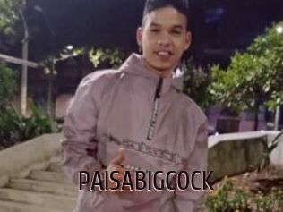 PAISABIGCOCK