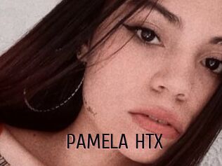 PAMELA_HTX