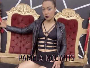 PAMELA_NOLIMITS