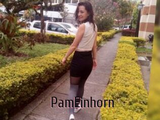 PamEinhorn