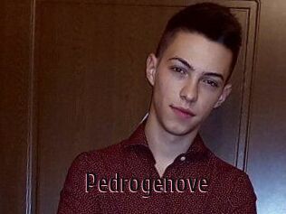 Pedrogenove