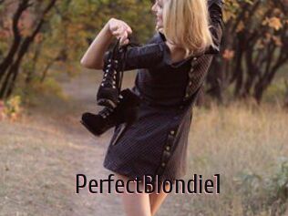 PerfectBlondie1