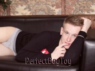 PerfectBoyToy