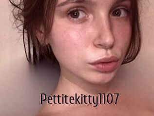 Pettitekitty1107