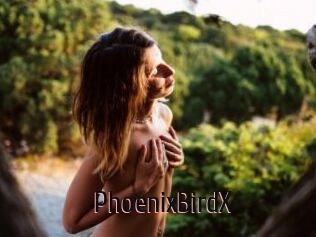 PhoenixBirdX