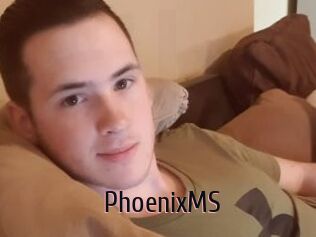 PhoenixMS