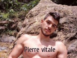 Pierre_vitale