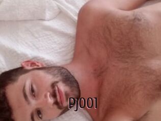Pj001