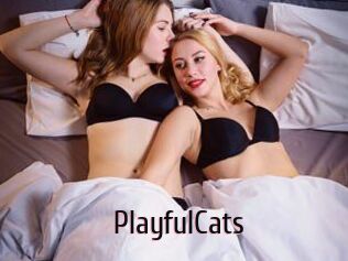 PlayfulCats