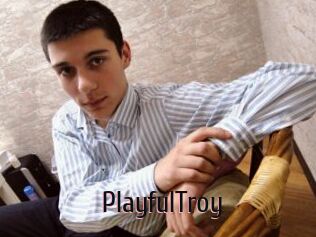 PlayfulTroy