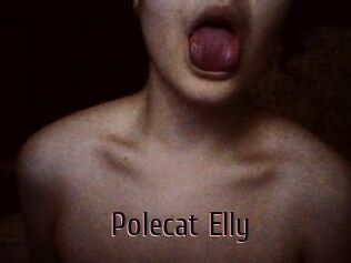 Polecat_Elly