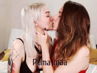 Puma_maa
