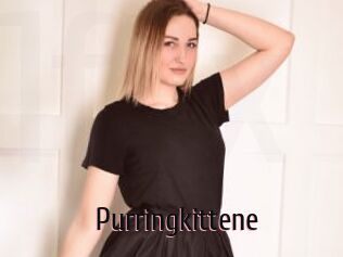 Purringkittene