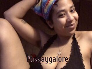 Pussaygalore