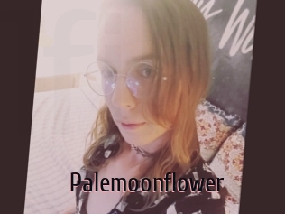 Palemoonflower