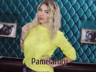 Pamelafury