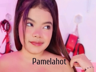 Pamelahot