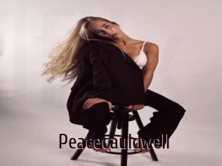 Peacecauldwell