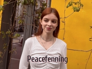 Peacefenning