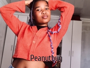 Peanutbug