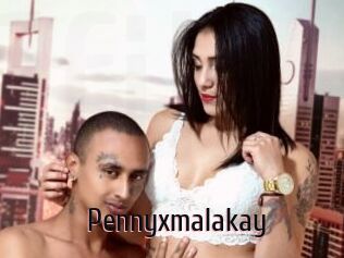 Pennyxmalakay