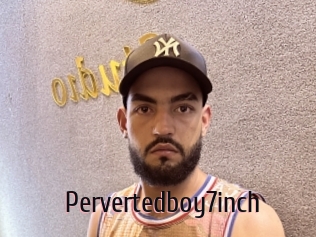 Pervertedboy7inch