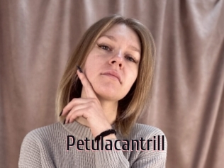 Petulacantrill