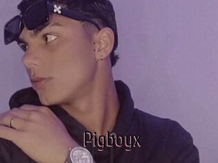 Pigboyx