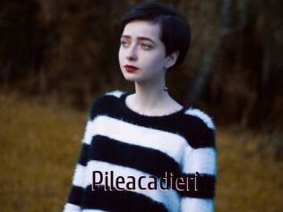 Pileacadieri