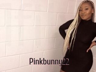 Pinkbunny22