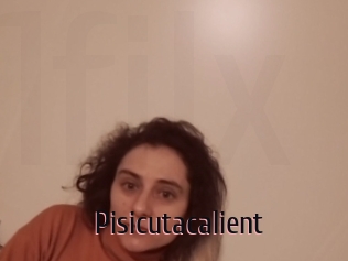 Pisicutacalient