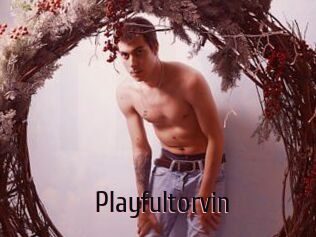 Playfultorvin
