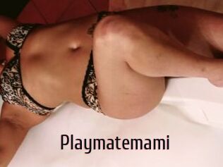 Playmatemami