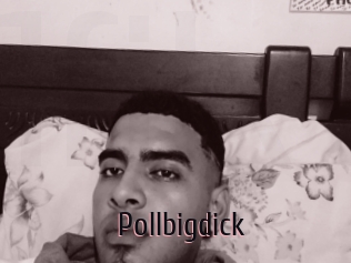 Pollbigdick
