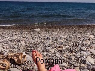 Porcona