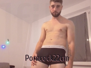 Porncock22cm