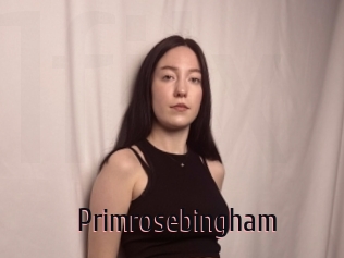 Primrosebingham