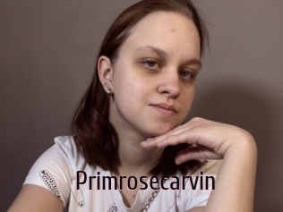 Primrosecarvin