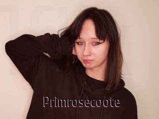 Primrosecoote