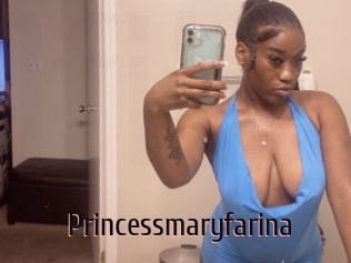 Princessmaryfarina